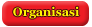 Organisasi